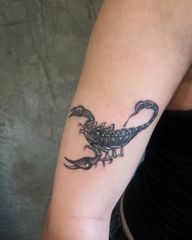 Recent bangers I’ve done ? Scorpion and butterfly for @ellaerichmond made today- thanks for coming in at short notice to give me some really fun zappers to do! Robin outline for @aaronfroom thanks for the trust and for sitting so well! Family pendant for @hollyharperrr thanks for trusting me with such a meaningful piece! Ohm symbol for my work pal @vansons.ink as part of a swap! Love that you gave me creative freedom with it Compass for my cousin @j_butlerr09 thanks for traveling down to get tattooed by me! Chinese writing for @helioarao made to look like dry ink calligraphy, this one was really fun to do Japanese writing on the neck for @s_brks04 was lovely meeting you man! #finelinetattoo #leicestertattoo #blackandgrey #scorpiontattoo