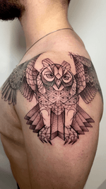 Geometric Owl