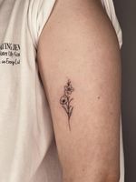 Delicate Floral Stem