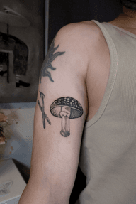 Spotted Mushroom