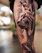 bold details, natural textures, and raw beauty of wildlife.