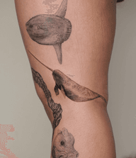 #narwhal #tinytattoo #sea #florida #petportrait #microrealisticanimal #miami #miamitattooartist #portrait #realism #animalportrait #fantasy #memorialtattoo #fineline #delicate #microrealism #blackandgrey #blackandgray #nature #marine #ocean #beach