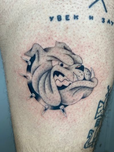 Capture the loyalty and strength of man's best friend with this stunning black and gray traditional bulldog tattoo by Charlie Macarthur.