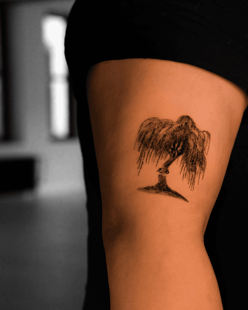 Weeping Willow