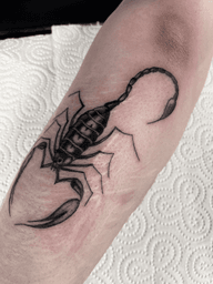 Black Scorpion