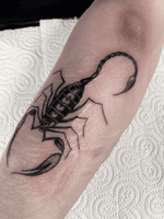 Black Scorpion