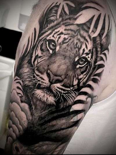 Stunning black and gray tattoo of a fierce tiger, expertly done by Cara Hayward.