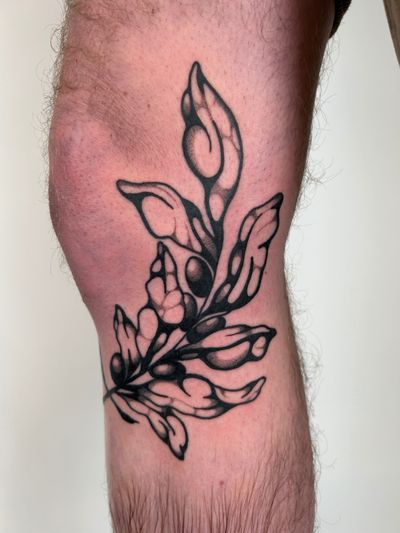 A beautiful black_and_gray tattoo of an olive branch, expertly crafted by Jack Howard with intricate dotwork details.