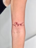 Cherry Blossom Branch