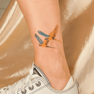 Micro-realism tattoo of a stunning blue macaw bird, done by artist Larissa, capturing intricate details.