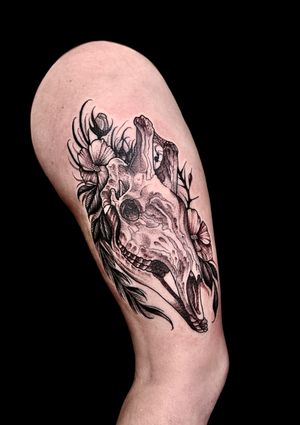 Unique blackwork and dotwork tattoo featuring a giraffe and skull motif, created by talented artist Ker Kusterbeck.