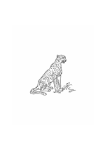 Sitting Cheetah Line Art