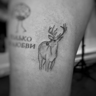 Black and gray fine line tattoo of a majestic deer by artist Inna. Detailed, illustrative style capturing the beauty of nature.