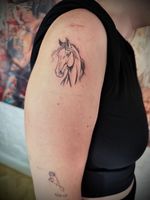 Horse Head Portrait