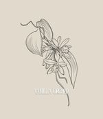 This design can be done in black and gray or full color (what you see is line work only, the final tattoo will include my realism style of shading). fine line botanical floral tattoo