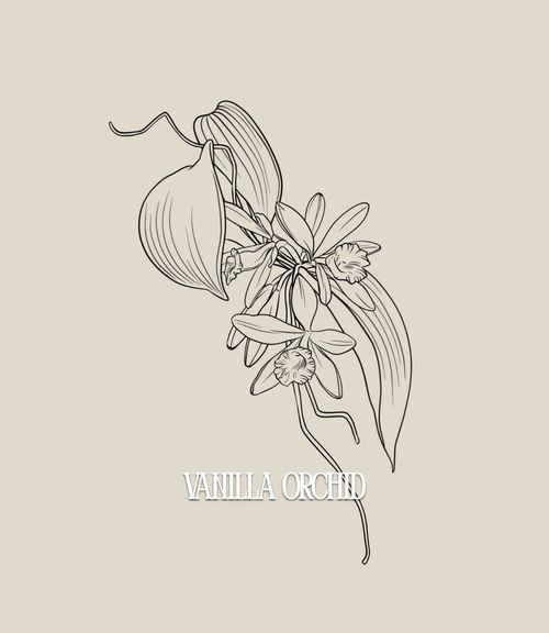 This design can be done in black and gray or full color (what you see is line work only, the final tattoo will include my realism style of shading).
fine line botanical floral tattoo