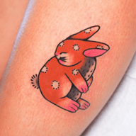 Rabbit