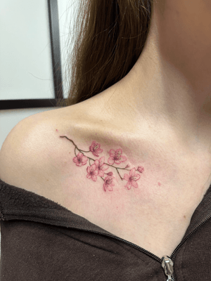 A soft colour collar bone design of cherry blossoms! 