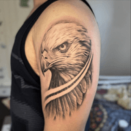 Majestic Eagle Head