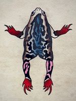 Neo-Traditional Frog Flash
