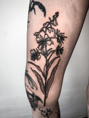 Beautiful fine line tattoo by Alexandra Mulhall featuring a medieval-inspired flower motif with intricate engraving details.