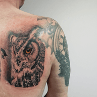 This tattoo features a detailed owl portrait in a realistic style. The owl has striking orange eyes and is rendered with meticulous shading to create depth and texture. Surrounding the owl is a dark, atmospheric background with a forest that completes the design