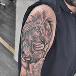 Lion Tattoo
