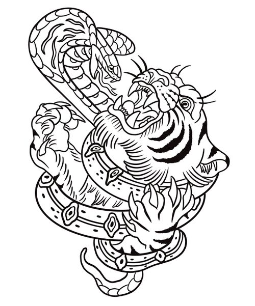 Tiger and snake