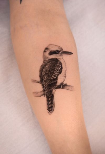 Micro realism Bird kokaburra