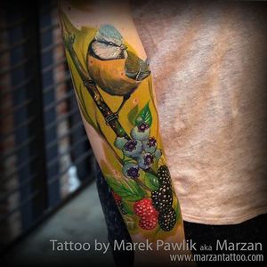 Tattoo by Marzan #realism #marzantattoo #custom #newyork #newjersey #brooklyn #nyc #inkologyartgallery #manhattan #vegan #color #nature #nyctattooartist #bird #sleeve #blackberry