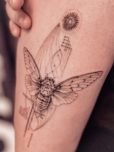 Elegant and intricate fine line illustration of a moth, designed by the talented artist Alex Caldeira.