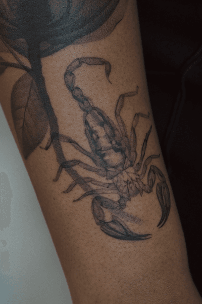 Magnolia flower and scorpion in X-ray tattoo style. This project was created as a custom design. More available designs can be found on my Instagram account  #microrealism #xray