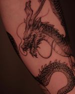 Freehand dragon in 1 session 🐉