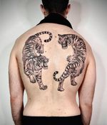 Completed ! 2nd session for pau. Loved doing this piece . Thanks again 😊 * * * * #backtattoo #backtattoos #bigtattoo #animaltattoo #tigertattoo #tigertattoos #berlin #berlintattoo