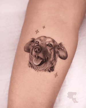 Black and gray micro-realism tattoo of a pet dog with a sparkle in its eye, done by tattoo artist Constanza.