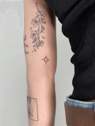 Branch and Star