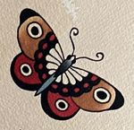 Traditional Butterfly Flash