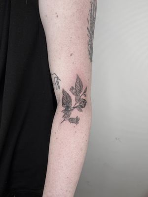 Stunning black and gray tattoo by artist Lauren, featuring a beautifully detailed flower or plant motif.