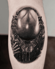 Alien Egg