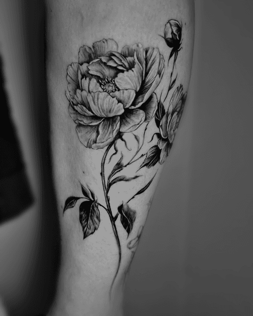 Peony Tattoo