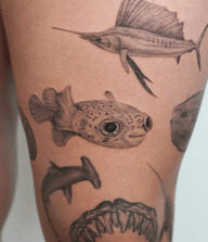 Sea Creatures