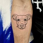 #tatuatrice @violante_artist Tel. + 39 388 8887152 #tattooshop @sphynx_tattoo Via Trento, 11, Pisa from Monday to Saturday H 10:00 - 17:00 #pitbulrednose #dog #dogtattoo #cane #canetattoo #bestfriends #blacktattoo #bktattoo #tatuaggioitalia #tattoo #ink #pisatattoo #tattoopisa #lovetattoo #beautifultattoo #tattooitalia #pisa #italy #tuscany #tatuaggi #tatuaggio #sphynxtattoo #tattoooftheday #tattooshare #tattooer #violante #mentattoo