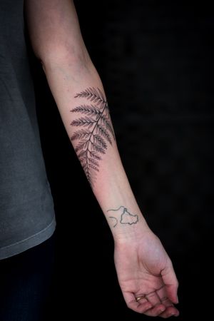 Beautiful black and gray dotwork fern tattoo by artist Steffan Eagle.