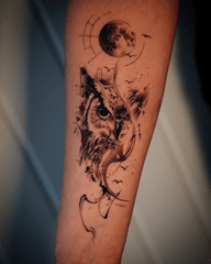 Owl and Moon