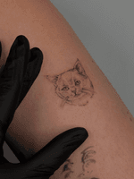 Cat Tattoo