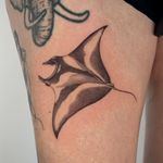 Manta Ray Tattoo