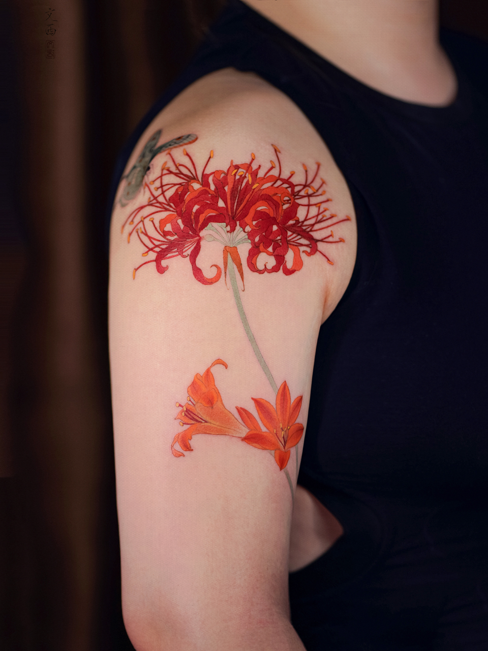 Spider Lilies Tattoo  Tattoodo