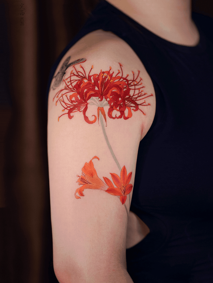 Spider Lilies Tattoo • Tattoodo