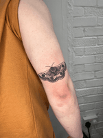 blackwork moth tattoo