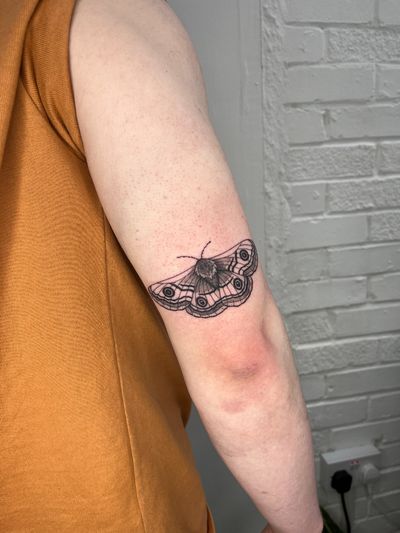 blackwork moth tattoo